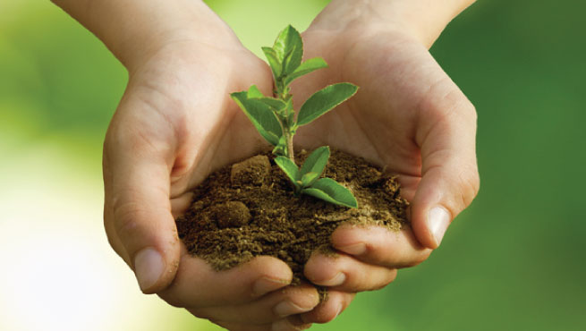 Image-15