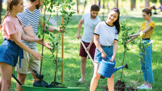 TREE-PLANTING-02